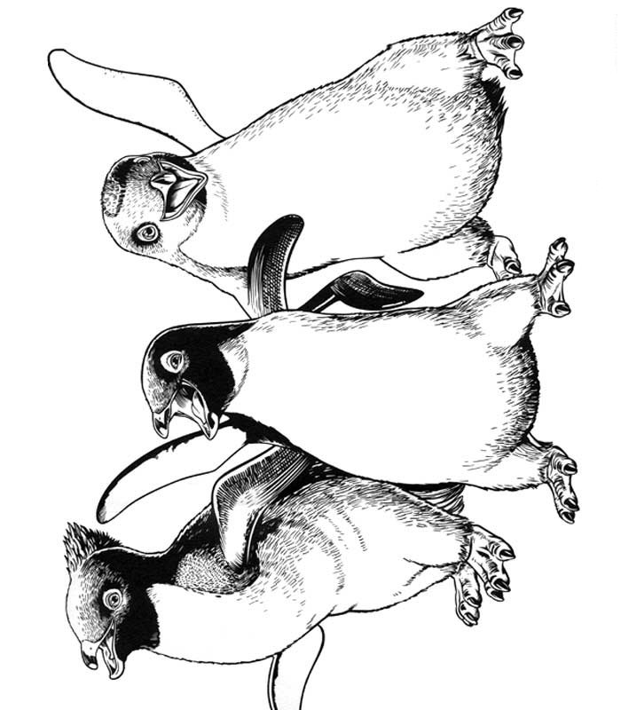 Kids-n-fun.com | 8 coloring pages of Happy Feet